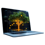 Your WEEE Waste and IT Assets Journey